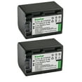 thumbnail image 1 of Kastar 2-Pack NP-FV70 Battery Replacement for Sony FDR-AX100E, FDR-AX700, FDR-AX33, FDR-AX43, FDR-AX53, FDR-AXP55, HDR-CX110, HDR-CX115, HDR-CX116, HDR-CX130, HDR-CX150, HDR-CX155, HDR-CX160 Camera, 1 of 3