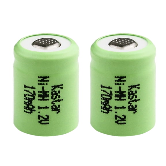 Kastar 2-Pack Ni-MH Battery 1.2V 170mAh Replacement for Wacom Inkling Pen Battery, Wacom MDP-123 Digital Pen Battery, Wacom ACK-403-03 ACK40303, Wacom Bamboo Ink, 1/3AAA-17NM-GP, 1/4AAA1.2V Battery