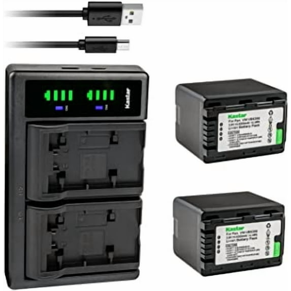 Kastar 2-Pack VW-VBK360 Battery and LTD2 USB Charger Replacement for Panasonic HC-V500, HC-V500GK, HC-V500K, HC-V500M, HC-V500MGK, HC-V500MK, HC-V600M, HC-V700, HC-V700GK, HC-V700K, HC-V700M