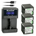 thumbnail image 1 of Kastar 3 Pack Battery and LCD Dual USB Charger Compatible with Panasonic HDC-SD8K, HDC-SD9, HDC-SD9EG-K, HDC-SD9EG-S, HDC-SD9GK, HDC-SD9-8GB, HDC-SD10, HDC-SD10K, HDC-SD20, HDC-SD20K, HDC-SD100, 1 of 6