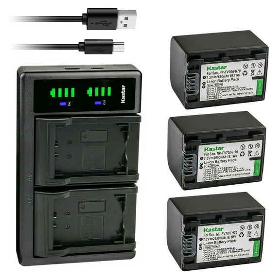 Kastar 3-Pack Battery and LTD2 USB Charger Replacement for Sony DEV-5, DEV-50, DEV-50V, FDR-AX100, FDR-AX100E, FDR-AX700, FDR-AX33, FDR-AX43, FDR-AX53, FDR-AXP55, HDR-CX110, HDR-CX115, HDR-CX116