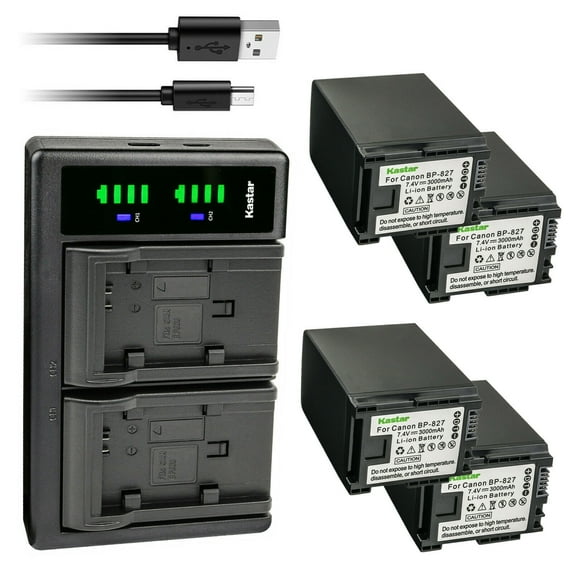 Kastar 4-Pack Battery and LTD2 USB Charger Replacement for Canon VIXIA HF M40 HFM40, VIXIA HF M41 HFM41, VIXIA HF M46 HFM46, VIXIA HF M400 HFM400, VIXIA HF M406 HFM406, VIXIA HF S10 HFS10