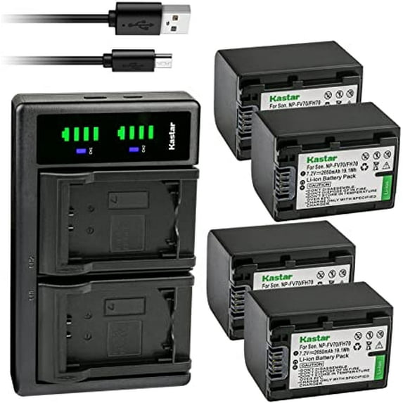 Kastar 4-Pack Battery and LTD2 USB Charger Replacement for Sony DCR-HC96, DCR-SR10, DCR-SR11, DCR-SR12, DCR-SR100, DCR-SR190, DCR-SR200, DCR-SR210, DCR-SR220, DCR-SR290, DCR-SR30, DCR-SR300, DCR-SR32