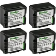 thumbnail image 1 of Kastar 4-Pack Battery Replacement for Panasonic VW-VBG070 VW-VBG070A VW-VBG070-K VW-VBG070PPK VW-VBG130 VW-VBG130-K VW-VBG130PPK VW-VBG260 VW-VBG260-K VW-VBG260PPK DMW-BLA13 DMW-BLA13A DMW-BLA13AE, 1 of 3