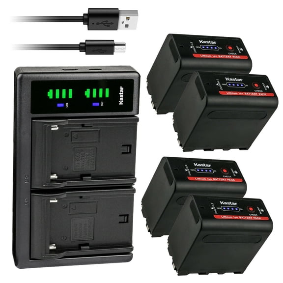Kastar 4-Pack NP-F980EXP Battery and LTD2 USB Charger Compatible with Sony CCD-TRT97 CCD-TRV101 CCD-TRV15 CCD-TRV16 CCD-TRV17 CCD-TRV201 CCD-TRV215 CCD-TRV20 CCD-TRV25 CCD-TRV26 CCD-TRV27 Camera