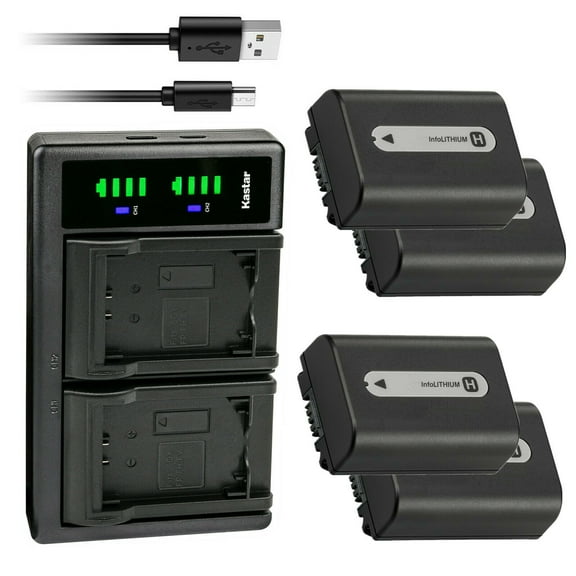 Kastar 4-Pack NP-FH50 Battery and LTD2 USB Charger Replacement for Sony HDR-SR56, HDR-SR60, HDR-SR62, HDR-SR67, HDR-SR7, HDR-SR70, HDR-SR8, HDR-SR80, HDR-SR82, HDR-SR87, HDR-SR90, HDR-TG1, HDR-TG3