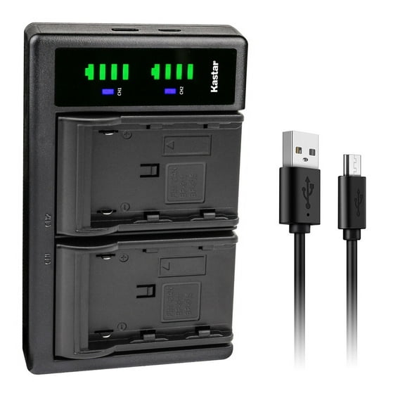 Kastar BP-950GEXP LTD2 USB Battery Charger Compatible with Canon V40 V40Hi V50Hi V60Hi V65Hi V72 V75Hi V400 V420 V500 V520 XF100 XF105 XF200 XF205 XF300 XF305 XH-G1 HDV Camera