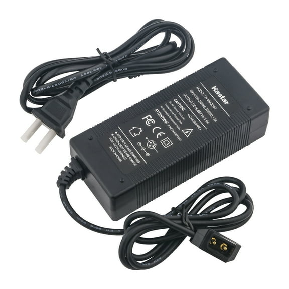Kastar D-Tap Charger Compatible with RED DIGITAL Cinema V-RAPTOR ST 8K VV DSMC3, CINEMA DSMC2 BRAIN, CINEMA DSMC2 DRAGON-X, RED DIGITAL Cinema SCARLET-W Camera