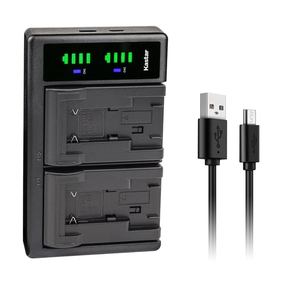 Kastar LTD2 USB Battery Charger Compatible with Fujifilm NP-100 NP100 FNP100 Batttery, JVC BN-V101 BN-V101E DDNP-100 Battery, NP-100 Battery