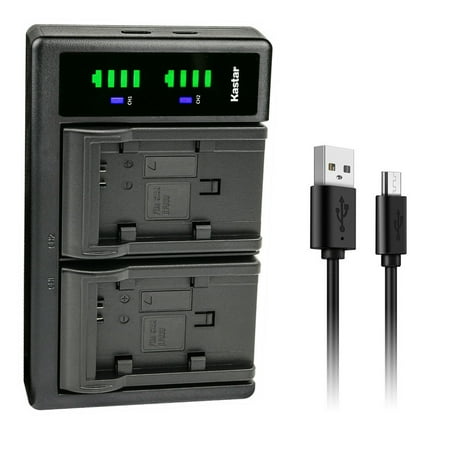 Kastar LTD2 USB Battery Charger Replacement for Canon BP-820, BP-828 XF400, XF405, XA10, XA11, XA15, XA20, XA25, XA30, XA35, XA40, XA45, XA50, XA55, VIXIA HF G21, VIXIA HF G30, VIXIA HF G40