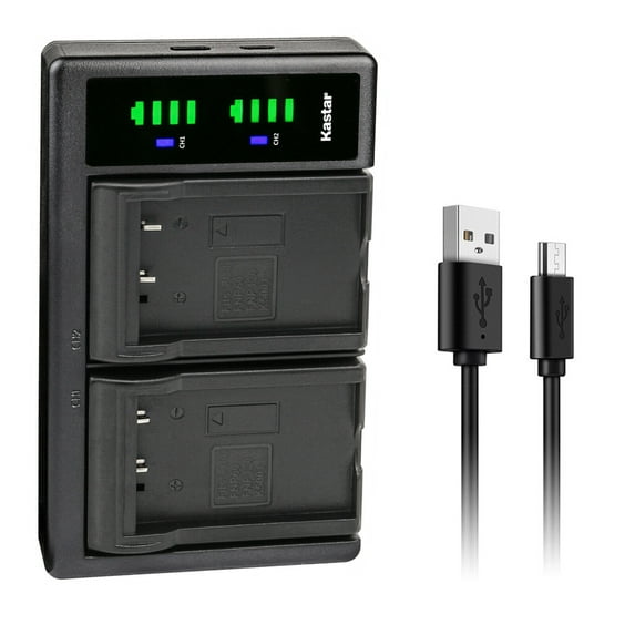 Kastar LTD2 USB Battery Charger Replacement for Casio NP-30 NP-30DBA BC-20, Panasonic CGA-S301 CGA-S302A VW-VBA10 VW-VBA20 VW-VBA21 CA-PD8D, Pentax D-L12 D-Li2 D-Li7 D-BC2