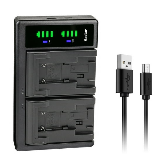 Kastar LTD2 USB Battery Charger Replacement for Ricoh DB-20, DB-20L, Ricoh Caplio RDC-i500, Caplio RR1, RDC-6000, RDC-7, RDC-7S Camera