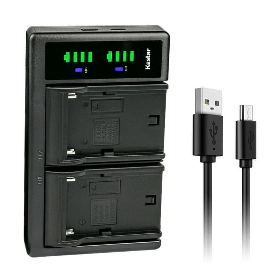 Kastar NP-F990 LTD2 USB Battery Charger Compatible with Aputure Amaran AL-H198 AL-M9 LED Video / Photo Camera Light, Desview R5, 5.5 inch Touchscreen On-Camera Field Monitor