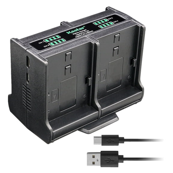 Kastar Quadruple Battery Charger Compatible with Canon PowerShot SX500 IS, PowerShot SX510 HS, PowerShot SX520 HS, PowerShot SX530 HS, PowerShot SX540 HS, PowerShot SX600 HS Digital Camera
