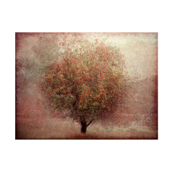 Katarina Holmstrom 'Apple Tree' Canvas Art