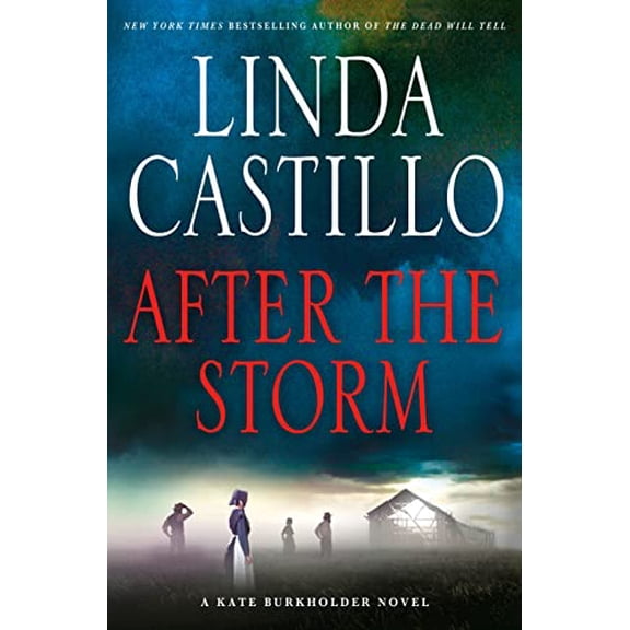 Pre-Owned Kate Burkholder: After the Storm : A Kate Burkholder Novel (Series #7) (Hardcover)