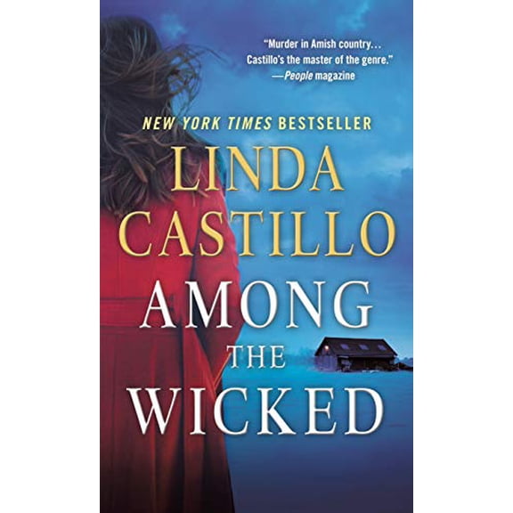 Pre-Owned Among the Wicked: A Kate Burkholder Novel (Kate Burkholder, 8) Paperback