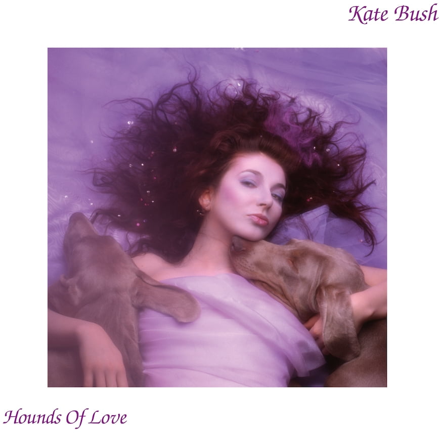Kate Bush - Hounds Of Love - 2018 Remaster 180gm Black Vinyl - Music & Performance