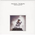 thumbnail image 1 of Kate Bush – The Big Sky (Special Single Mix) / Not This Time (7" 45RPM Vinyl) (New), 1 of 2
