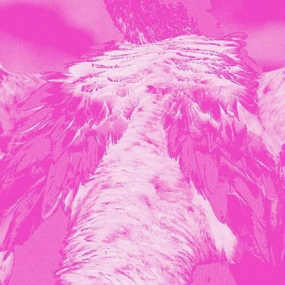 Kate Carr - A field guide to phantasmic birds - Music & Performance - CD