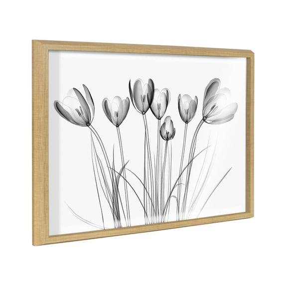 Kate and Laurel Blake Crocus X Ray Floral BW Framed Printed Glass Wall Art by The Creative Bunch Studio, 18x24 Natural, Decorative Modern Flower Art Print for Wall