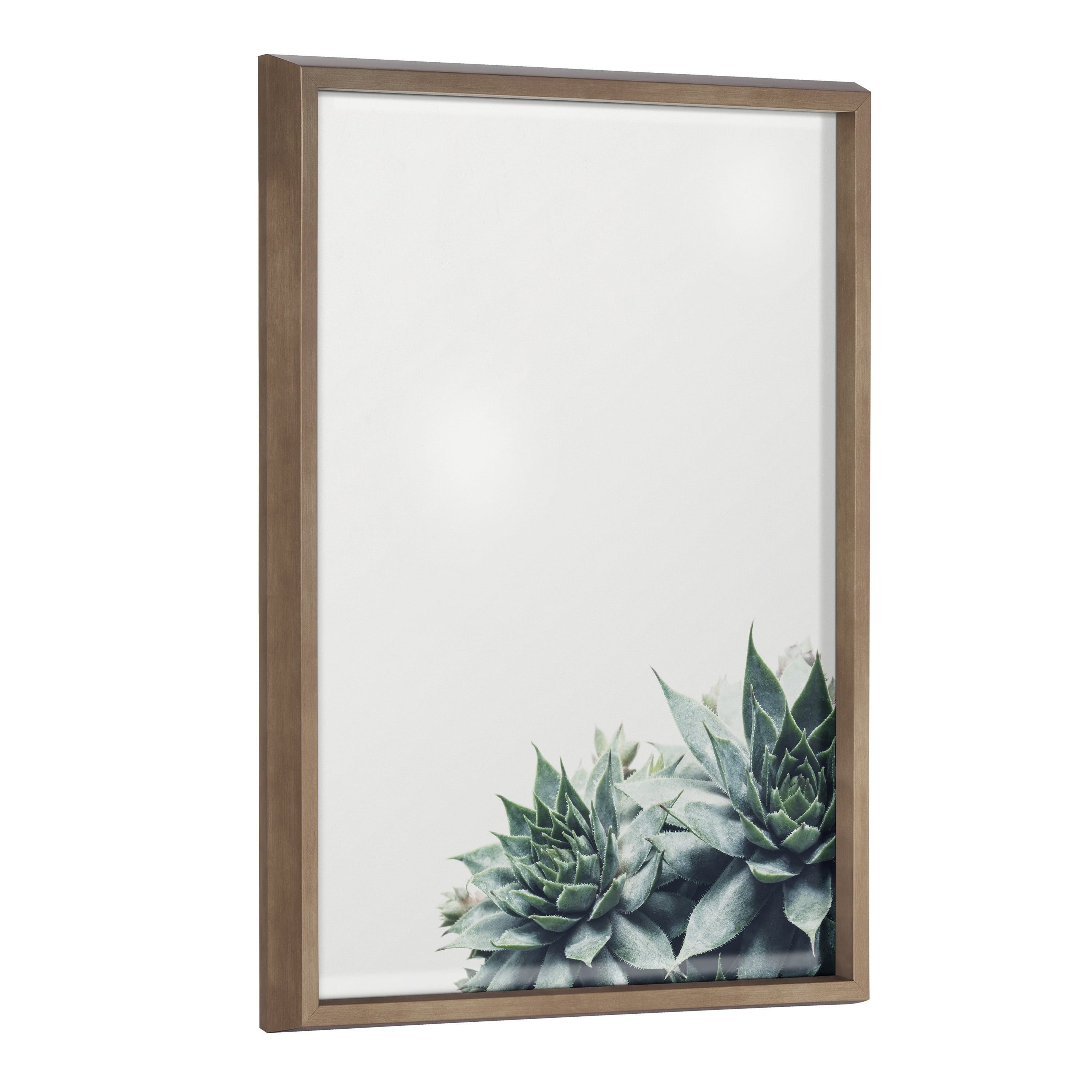Kate and Laurel Blake Ever Green Succulent Framed Printed Glass Wall Art  Dry  Erase by F2Images, 18x24 Gold, Chic Botanical Glass Art And Dry Erase  Surface