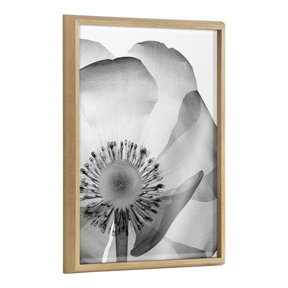 Kate and Laurel Blake Poppy X Ray Floral 2 BW Framed Printed Glass Wall Art by The Creative Bunch Studio, 18x24 Natural, Decorative Modern Flower Art Print for Wall