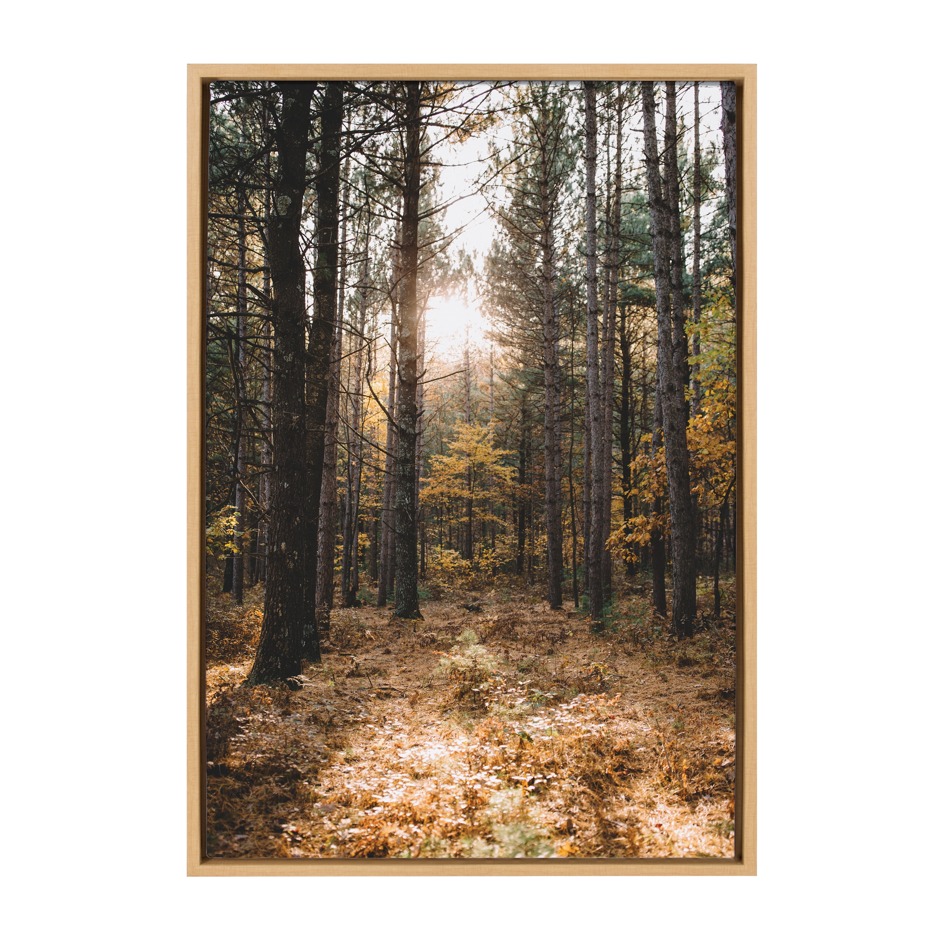 23" x 33" Sylvie a Walk in The Woods Framed Canvas by Patricia Hasz Natural - Kate & Laurel All Things Decor: Vertical Landscape Wall Art