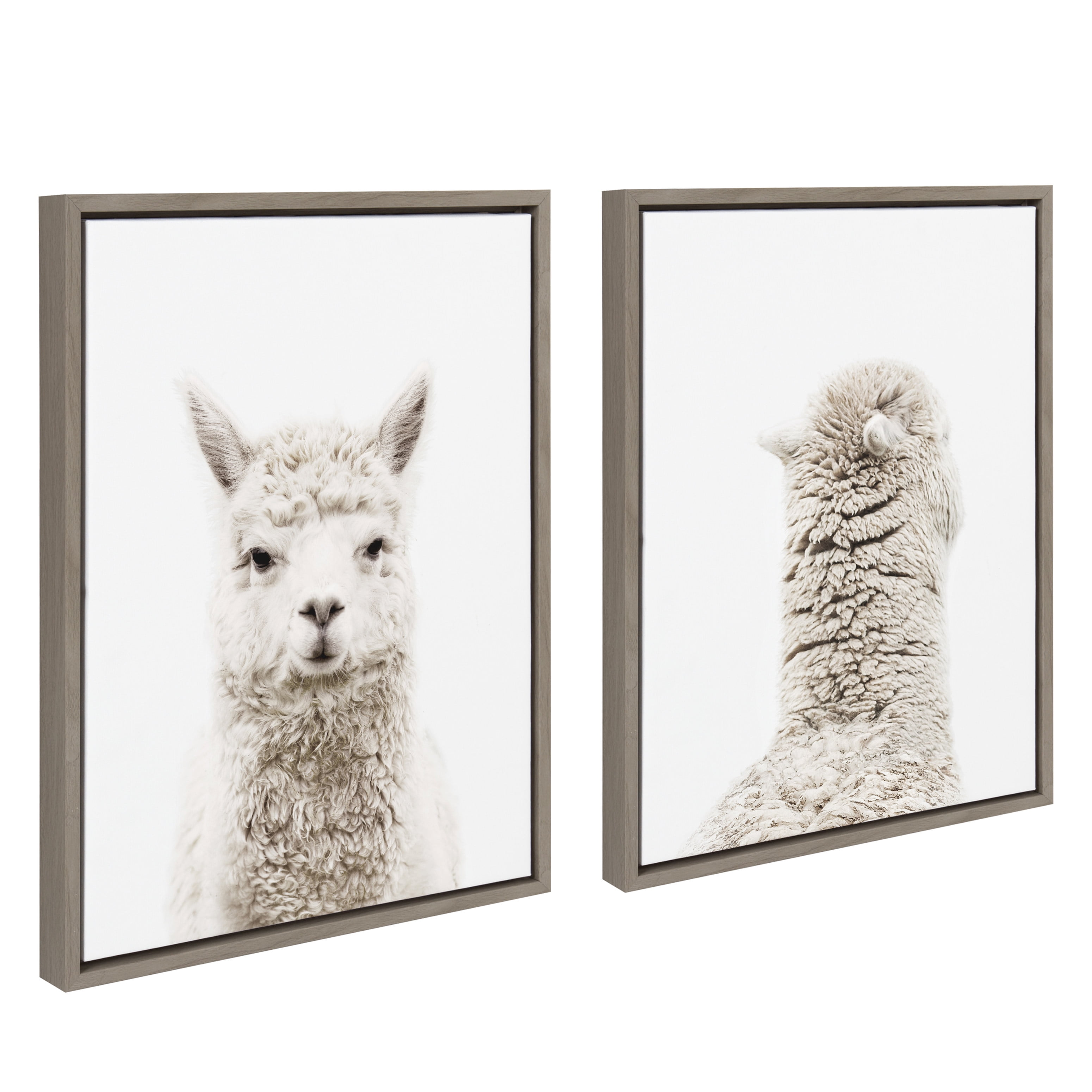 Set of 2 Gray Alpaca Canvas Art Prints