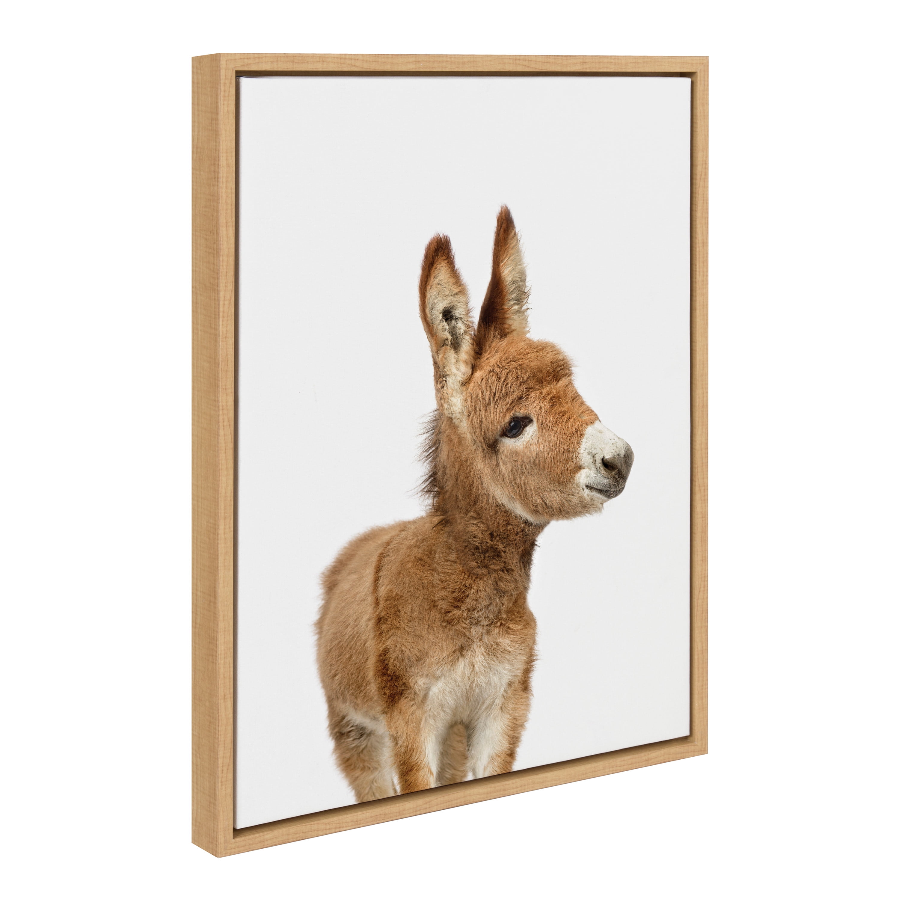 Natural Framed Canvas Print of Burro for Kids' Nursery