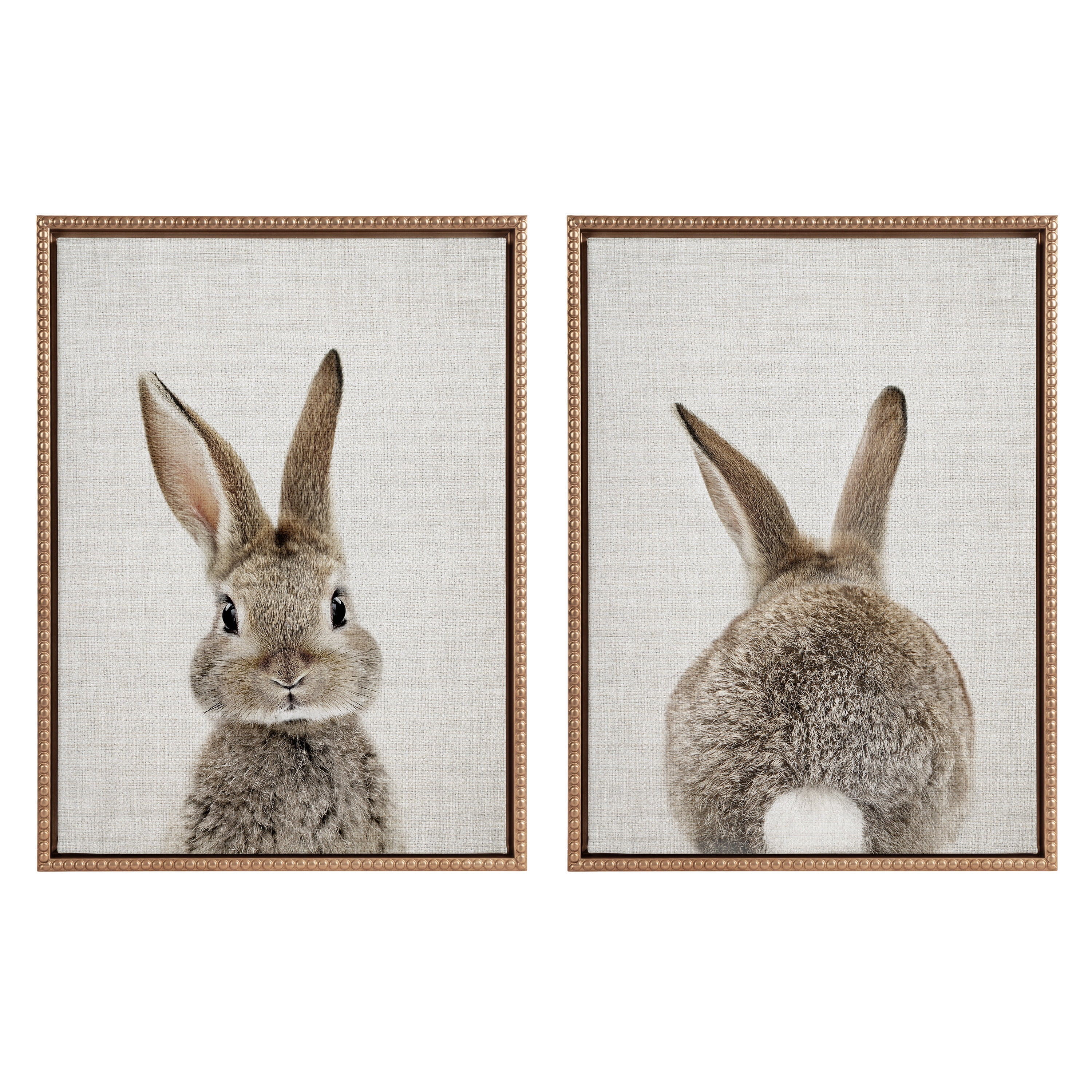 Set of 2 Gold Framed Bunny Portrait and Tail Canvas Art