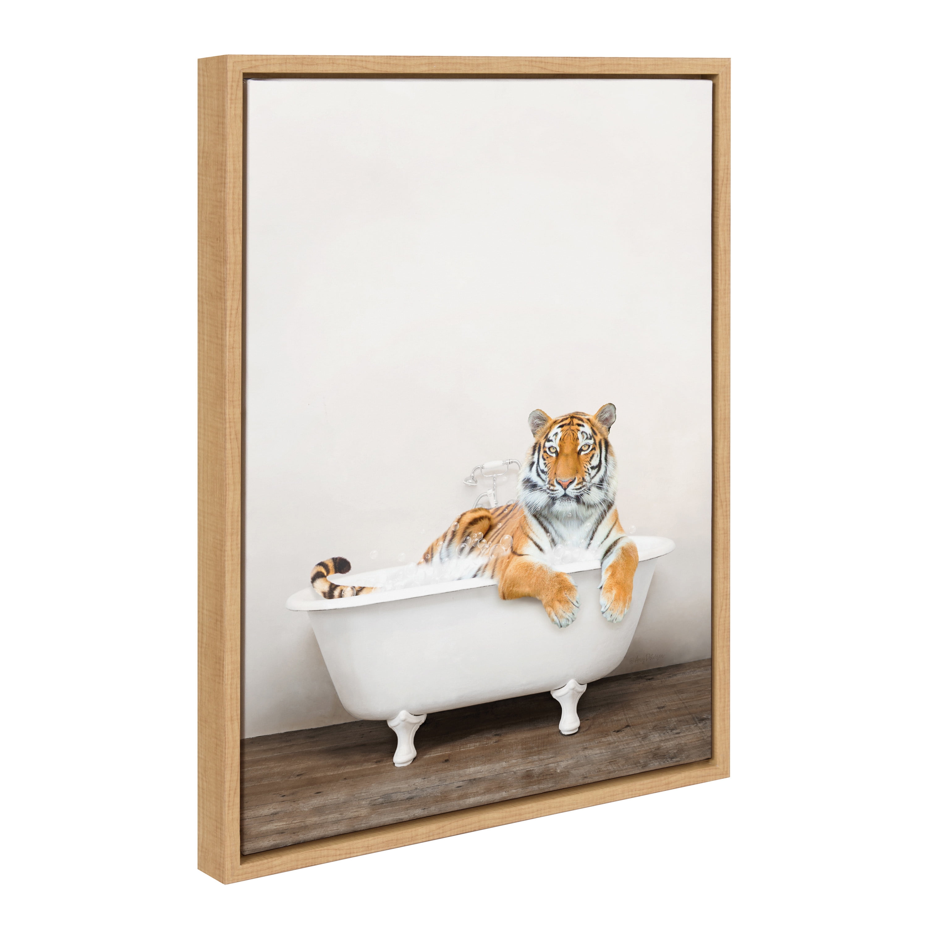 Natural Framed Bengal Tiger in Bathtub Canvas Print, 18" x 24"