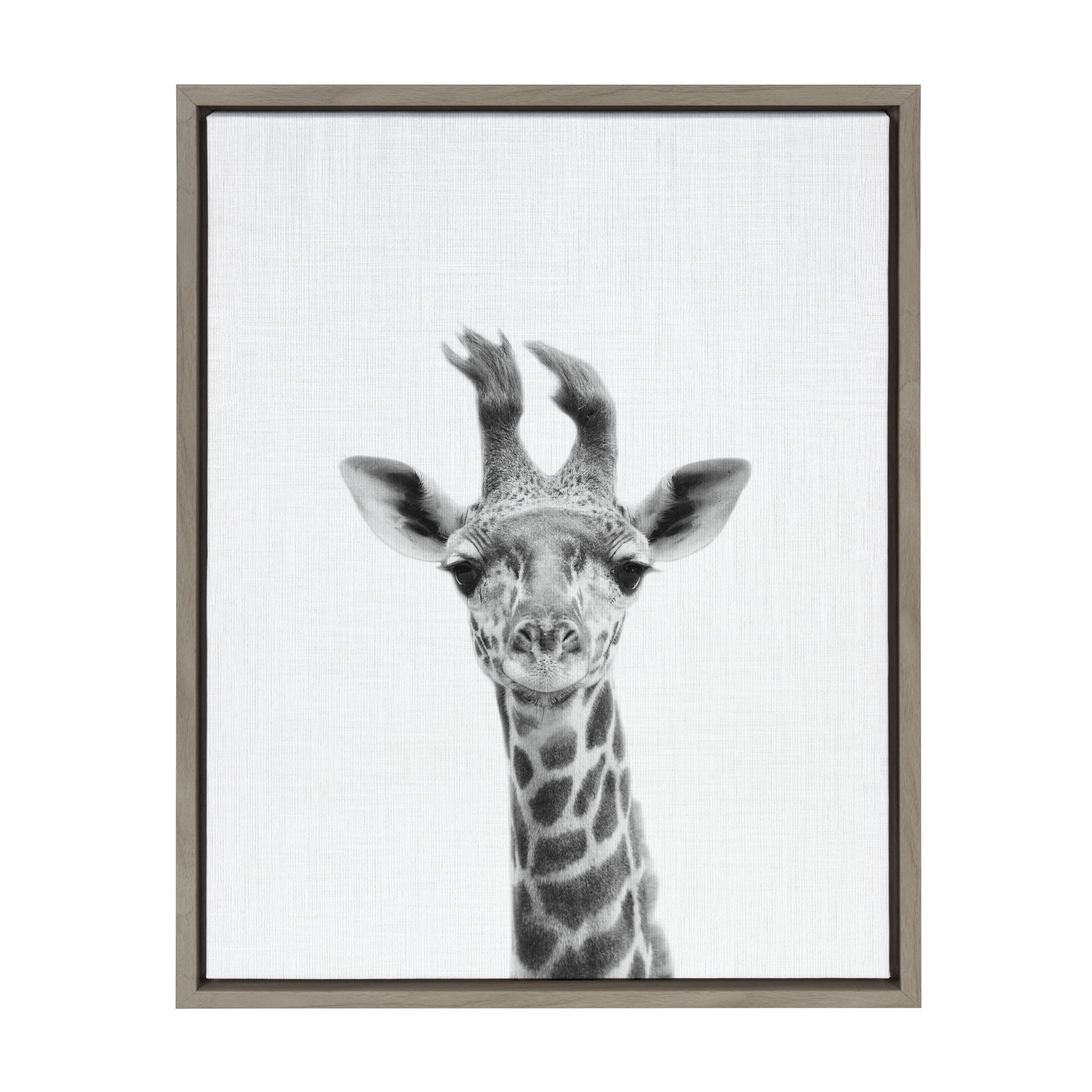 Kate and Laurel Sylvie Black and White Baby Giraffe Framed Canvas Wall Art  by Simon Te Tai, 18x24 Gray, Cute Animal Home Decor for Living Room,  Bedroom, Bathroom, Or Nursery