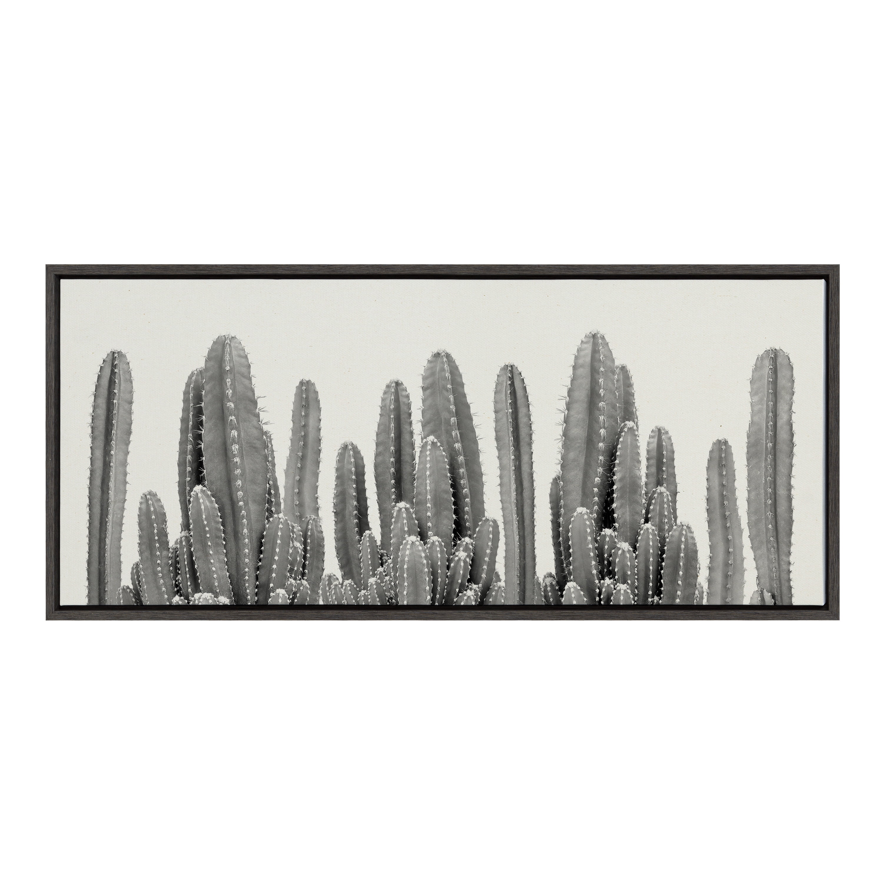 Black and White Cactus Garden Canvas Wall Art, 18x40