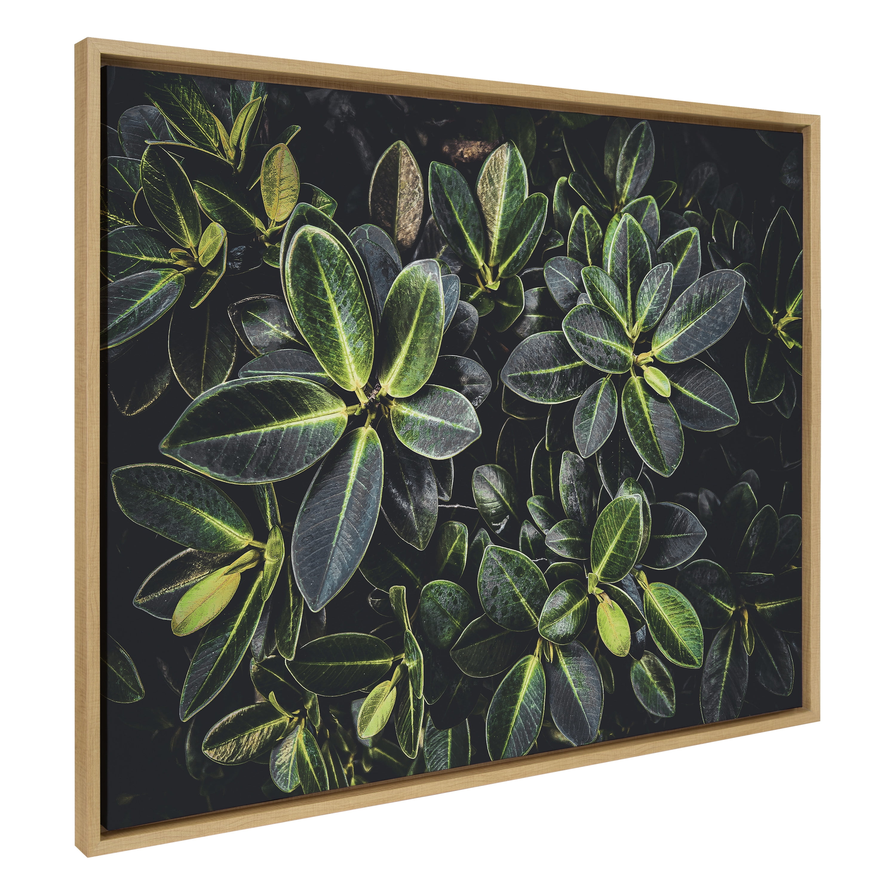 Large Botanical Greenery Canvas Print with Natural Frame
