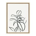 thumbnail image 1 of Kate and Laurel Sylvie Botanical Sketch Print No 1 Framed Canvas Wall Art by The Creative Bunch Studio, 18x24 Natural, Decorative Abstract Nature Art Print for Wall, 1 of 9