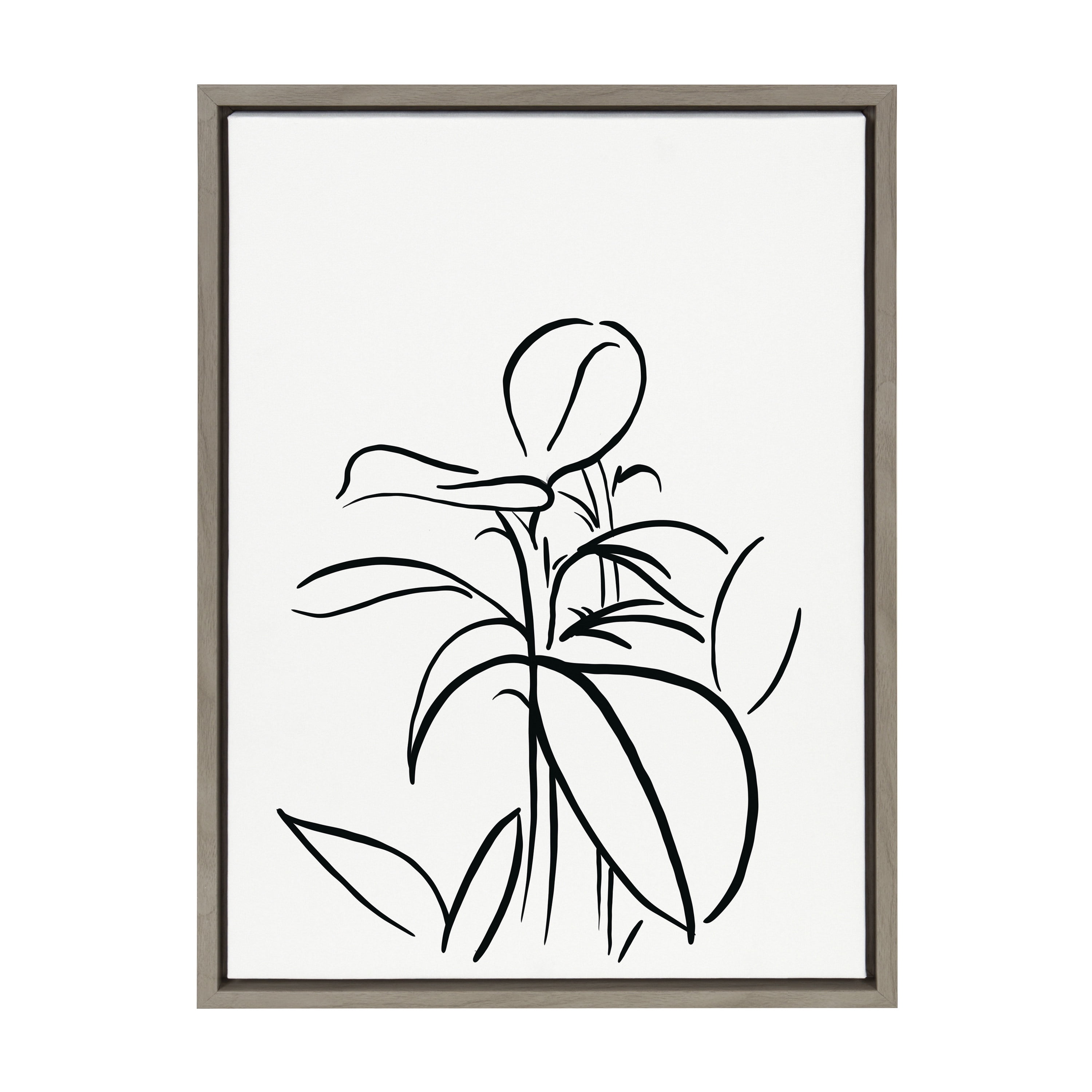 Gray Framed Botanical Sketch Print on Canvas, 18x24