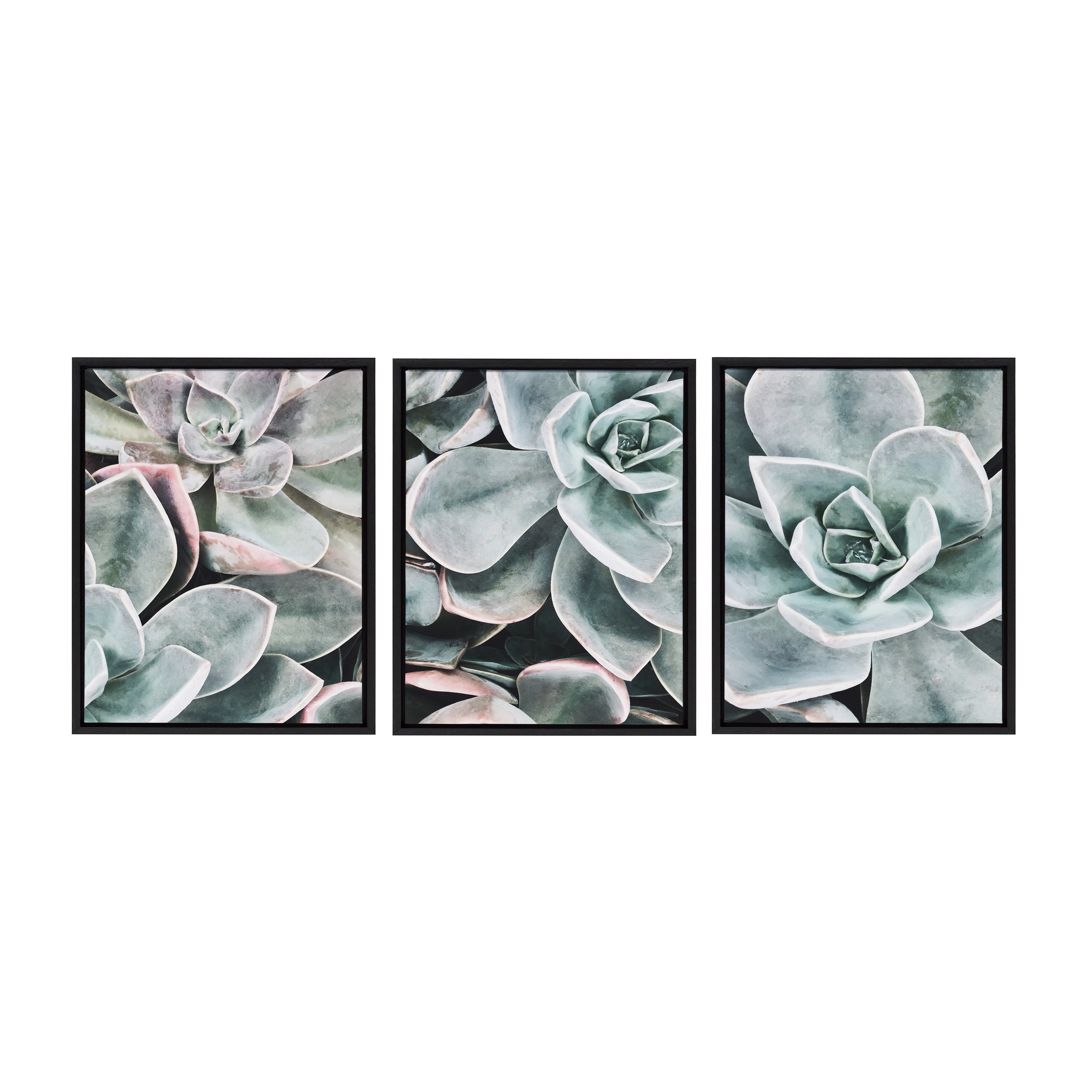 Kate and Laurel Sylvie Botanical Succulent Plants Framed Canvas