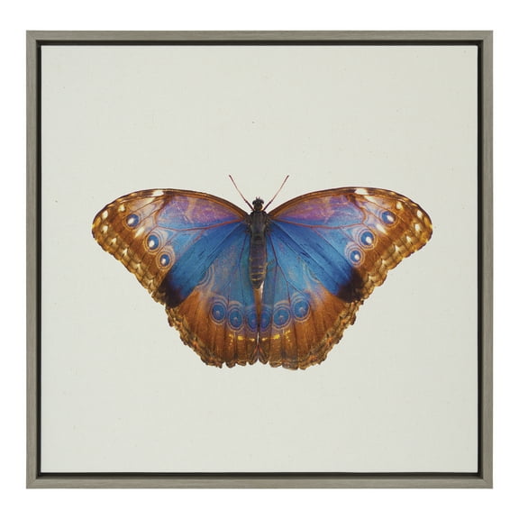 Kate and Laurel Sylvie Coppertop Butterfly Framed Linen Textured Canvas Wall Art by Robert Cadloff of Bomobob, 22x22 Gray, Decorative Nature Themed Art for Wall