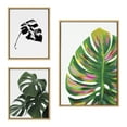 thumbnail image 1 of Kate and Laurel Sylvie EV Monstera, 582 Monstera and Monstera Leaves Framed Canvas Wall Art Set by Various Artists, 3 Piece Set Natural, House Plant Art for Wall, 1 of 6