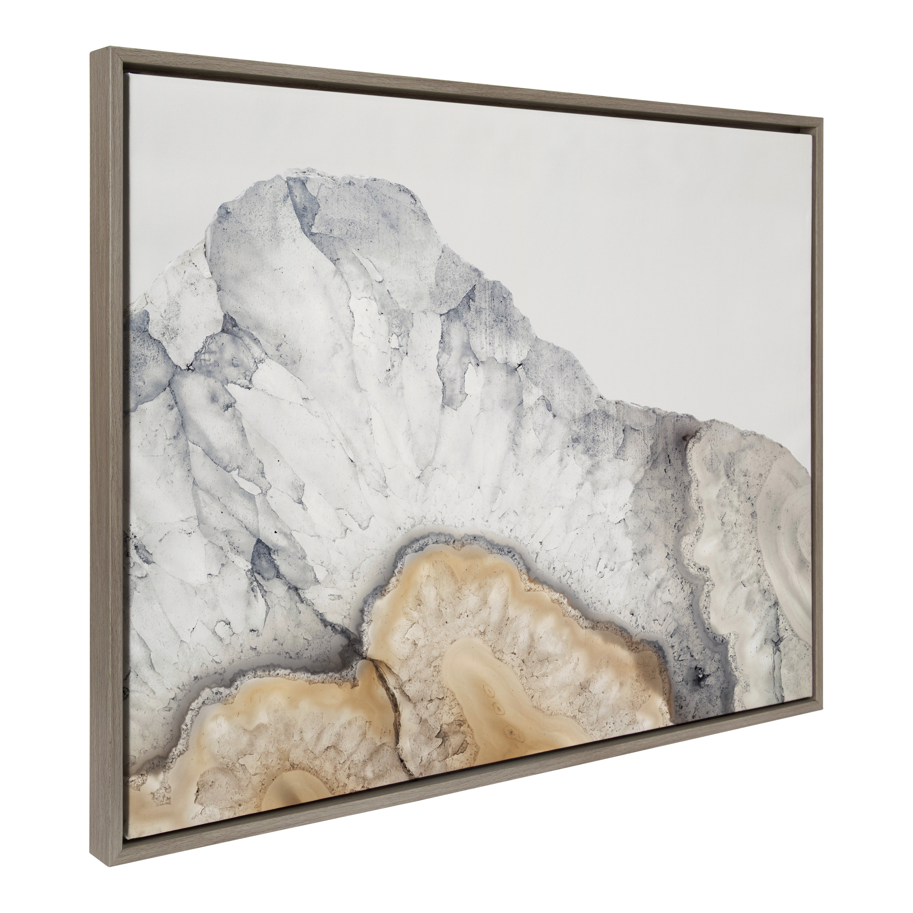 Kate and Laurel Sylvie Ranunculus in Blue Framed Canvas