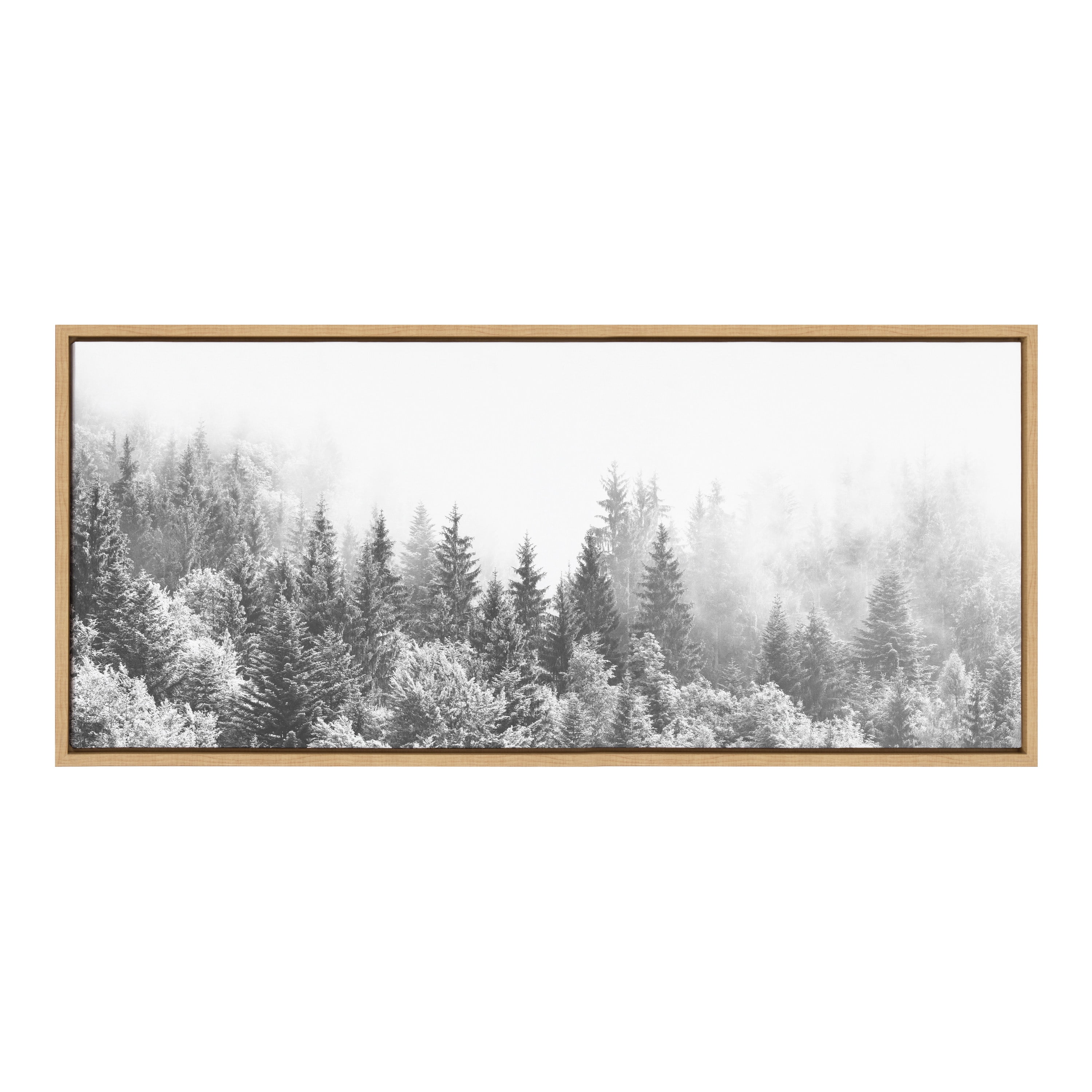 Forest On A Foggy Day Black and White Canvas Print