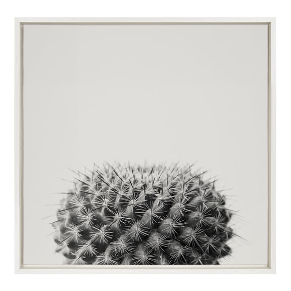 Kate and Laurel Sylvie Haze Succulent Cactus Short Framed Canvas Wall Art by The Creative Bunch Studio, 22x22 White, Decorative Succulent Art for Wall