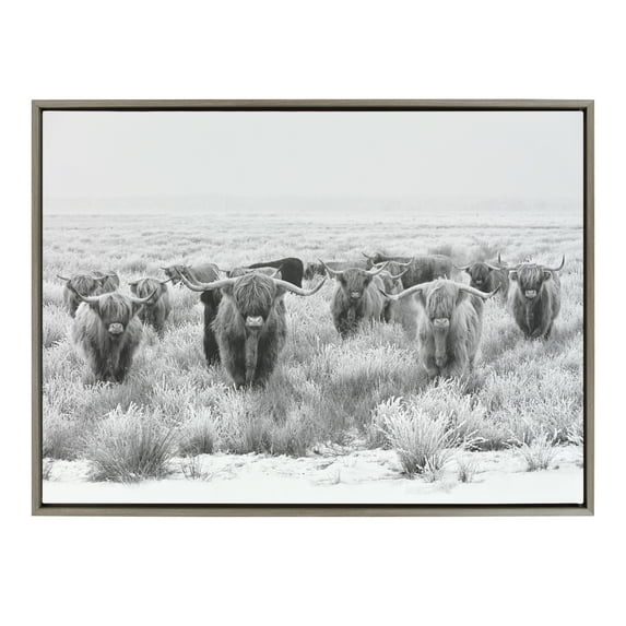 Kate and Laurel Sylvie Herd of Highland Cows BW Framed Canvas Wall Art by The Creative Bunch Studio, 28x38 Gray, Decorative Farmhouse Animal Art for Wall