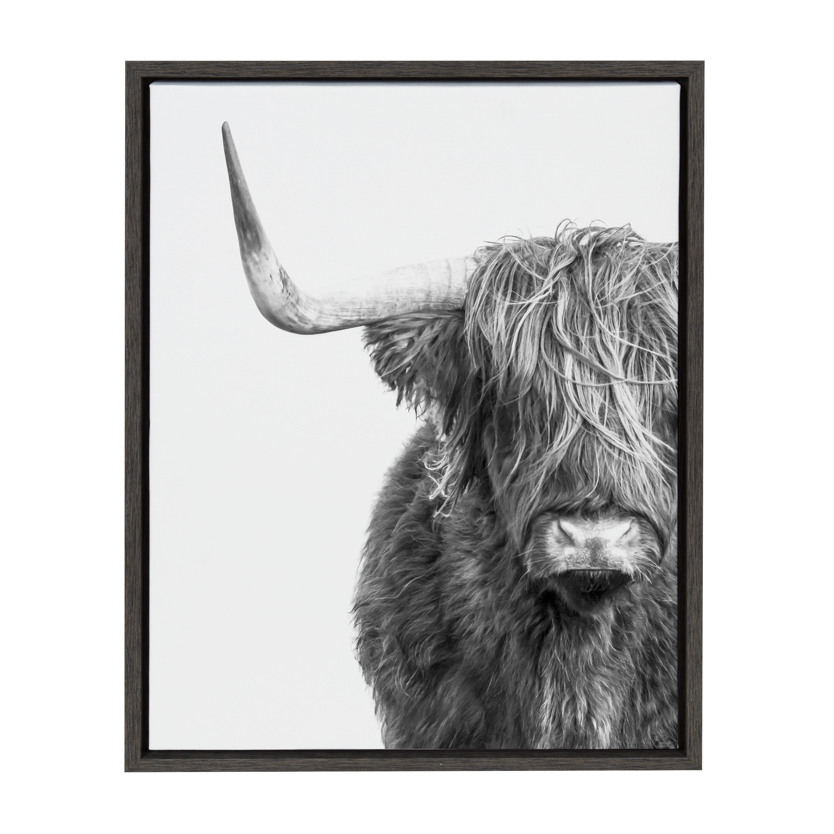 Sylvie Highland Cow Black and White Framed Canvas Art