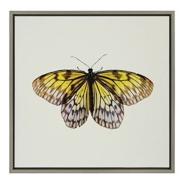 Kate and Laurel Sylvie Limon Butterfly Framed Linen Textured Canvas Wall Art by Robert Cadloff of Bomobob,  22x22 Gray, Decorative Nature Themed Art Print for Wall