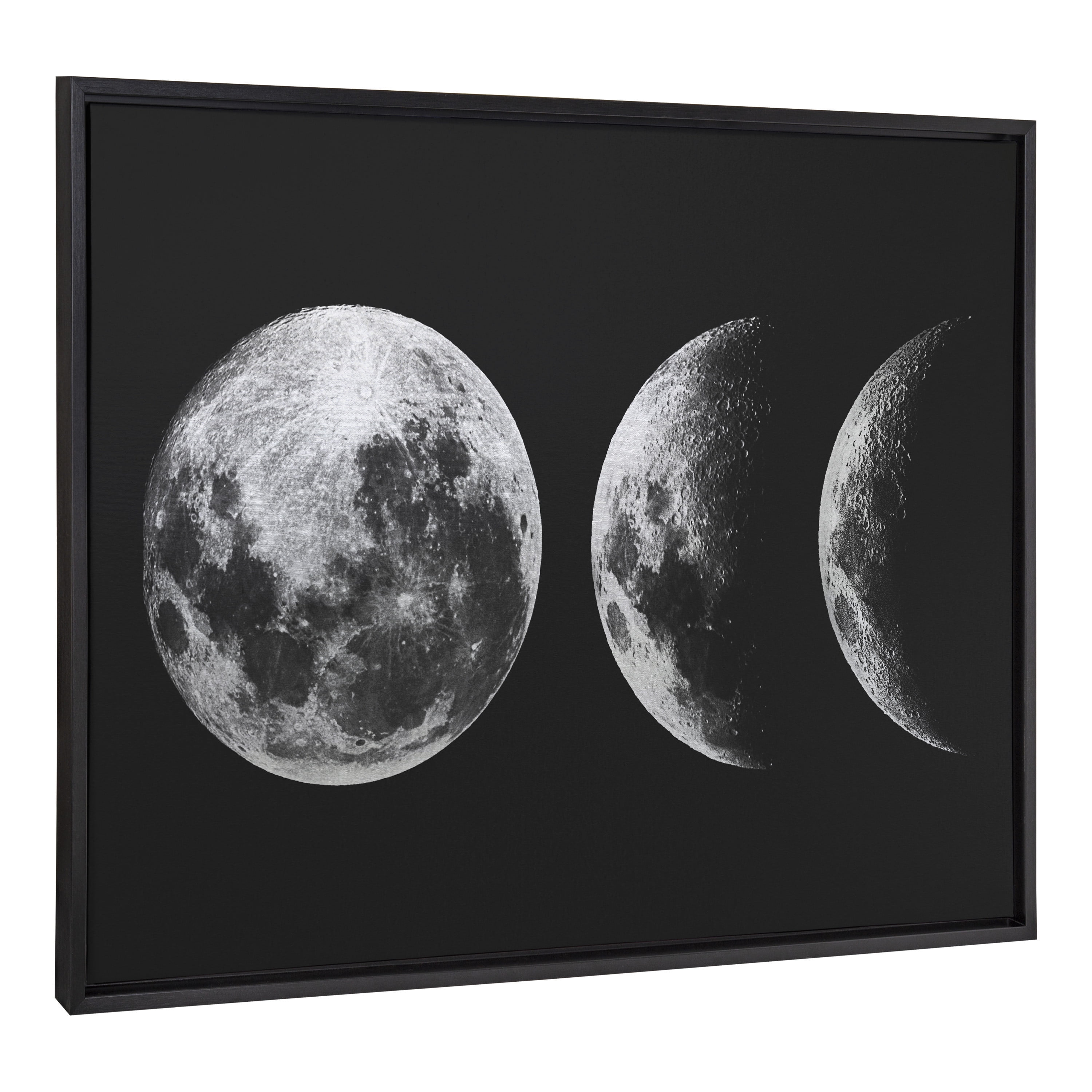 Sylvie Mod Moon Black and White Metallic Canvas Wall Art