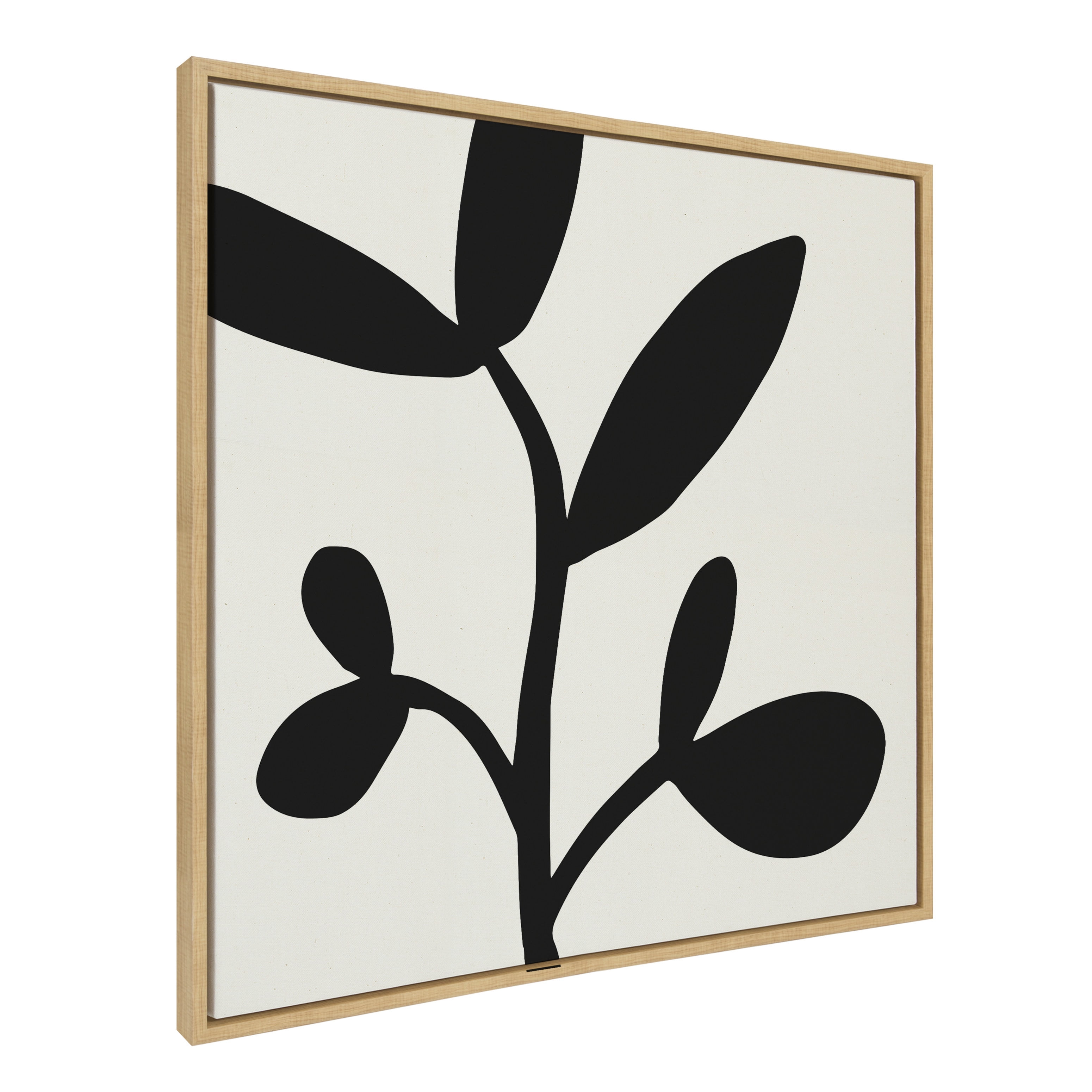 Modern Botanical Black and White Canvas Wall Art, 30" x 30"