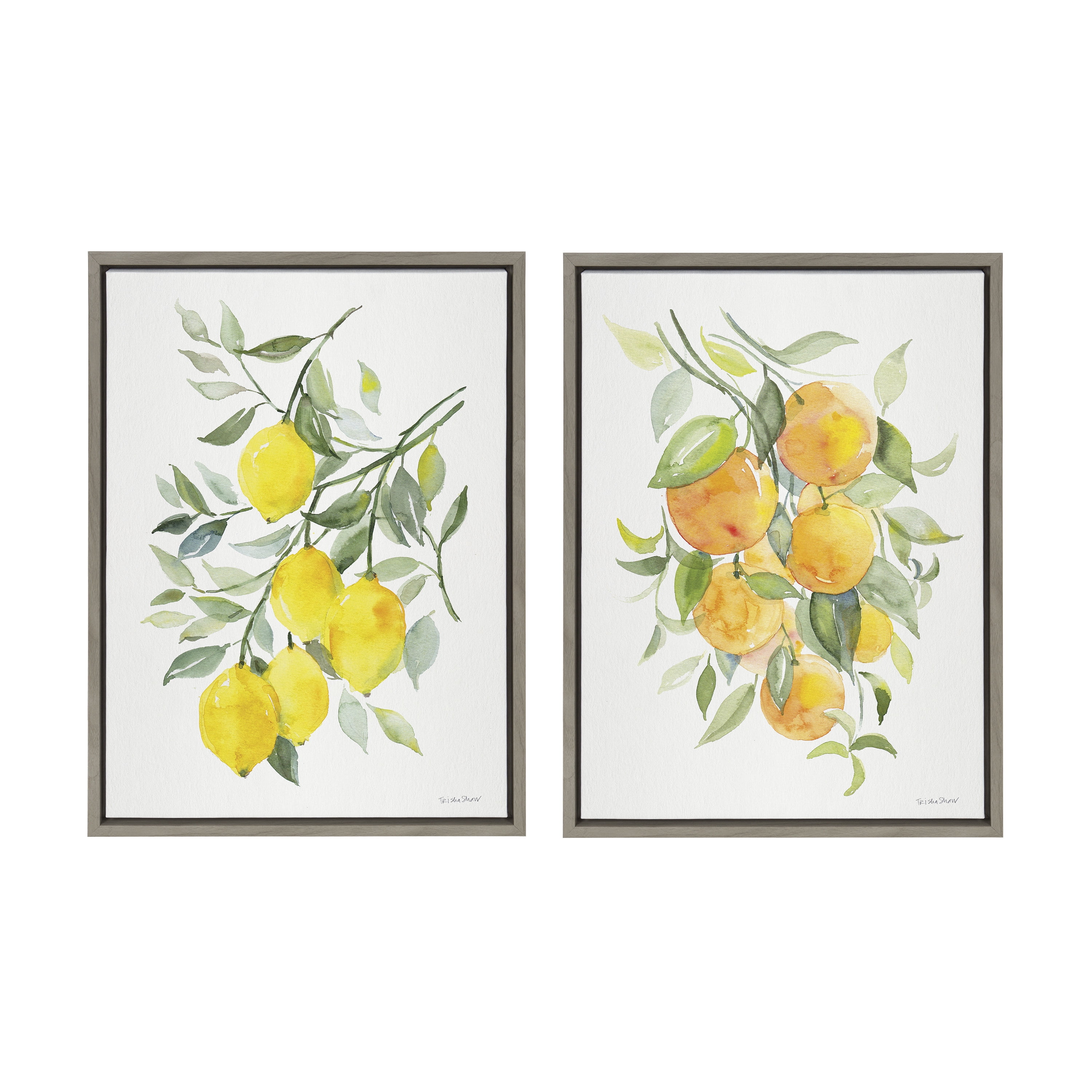Gray Framed Citrus Fruit Canvas Wall Art Set, 18x24