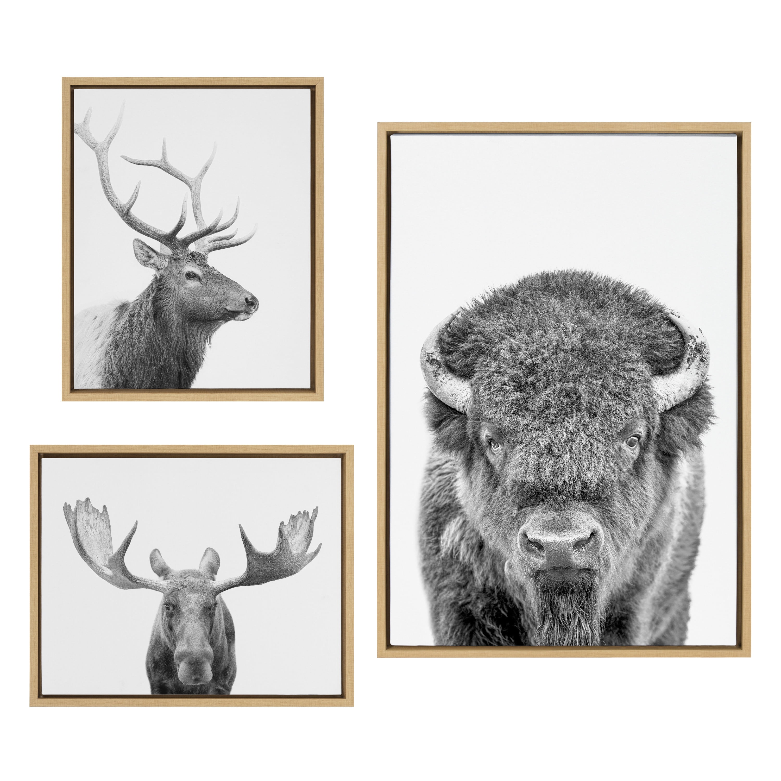 Sylvie Black and White Animal Portrait Canvas Art Trio